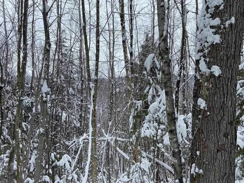 0 Fall Brook Road Wheelock VT 05851-000