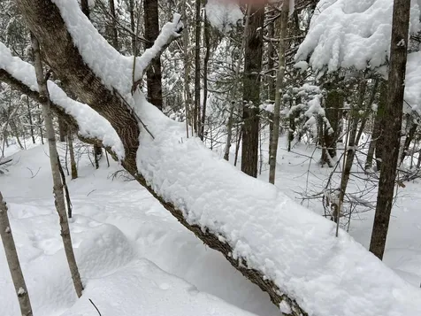 0 Fall Brook Road Wheelock VT 05851-000