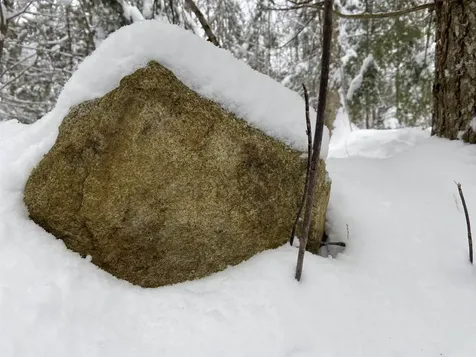 0 Fall Brook Road Wheelock VT 05851-000