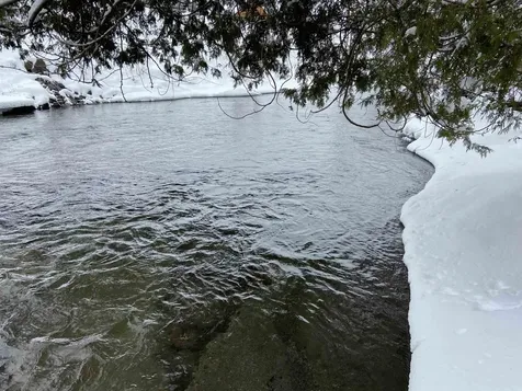 0 Fall Brook Road Wheelock VT 05851-000