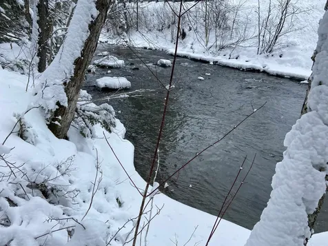 0 Fall Brook Road Wheelock VT 05851-000