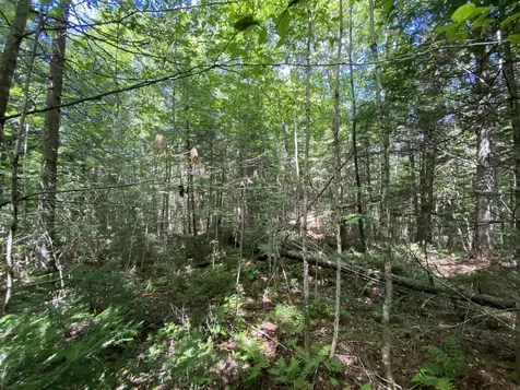 0 Fall Brook Road Wheelock VT 05851-000