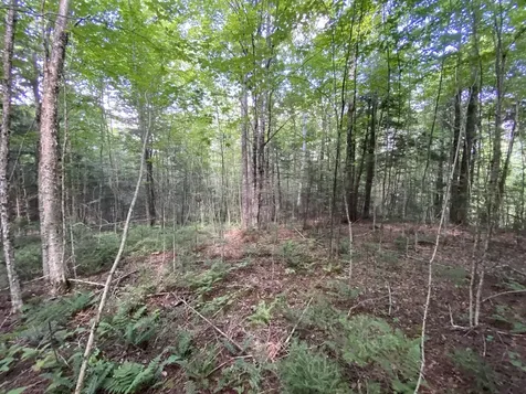 0 Fall Brook Road Wheelock VT 05851-000