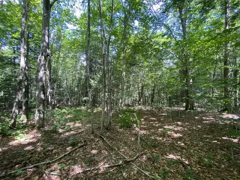 0 Fall Brook Road Wheelock VT 05851-000