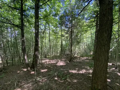 0 Fall Brook Road Wheelock VT 05851-000