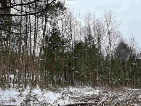 0 Fall Brook Road Wheelock VT 05851-000