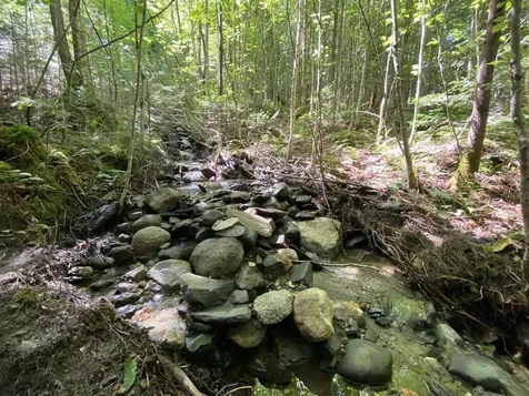 0 Fall Brook Road Wheelock VT 05851-000