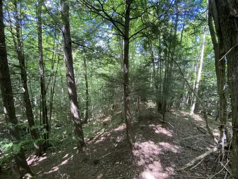 0 Fall Brook Road Wheelock VT 05851-000