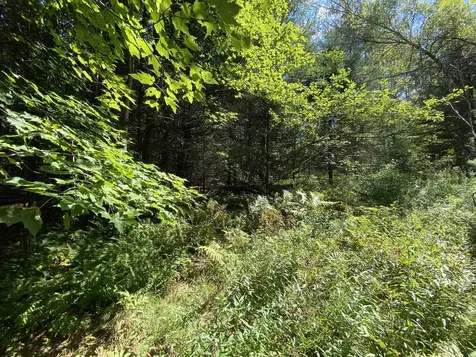 0 Fall Brook Road Wheelock VT 05851-000