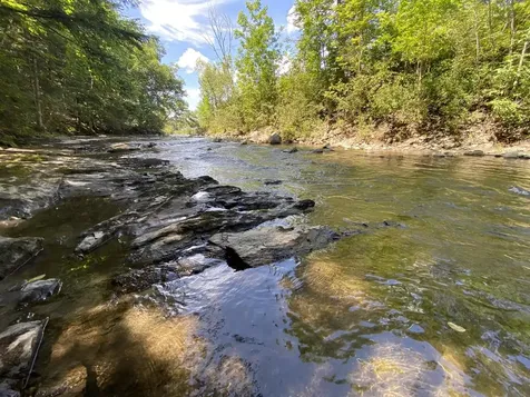 0 Fall Brook Road Wheelock VT 05851-000