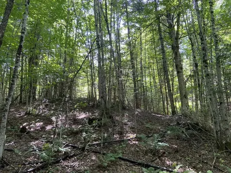 0 Fall Brook Road Wheelock VT 05851-000