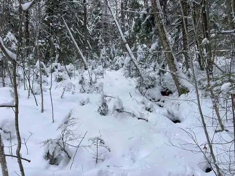 0 Fall Brook Road Wheelock VT 05851-000