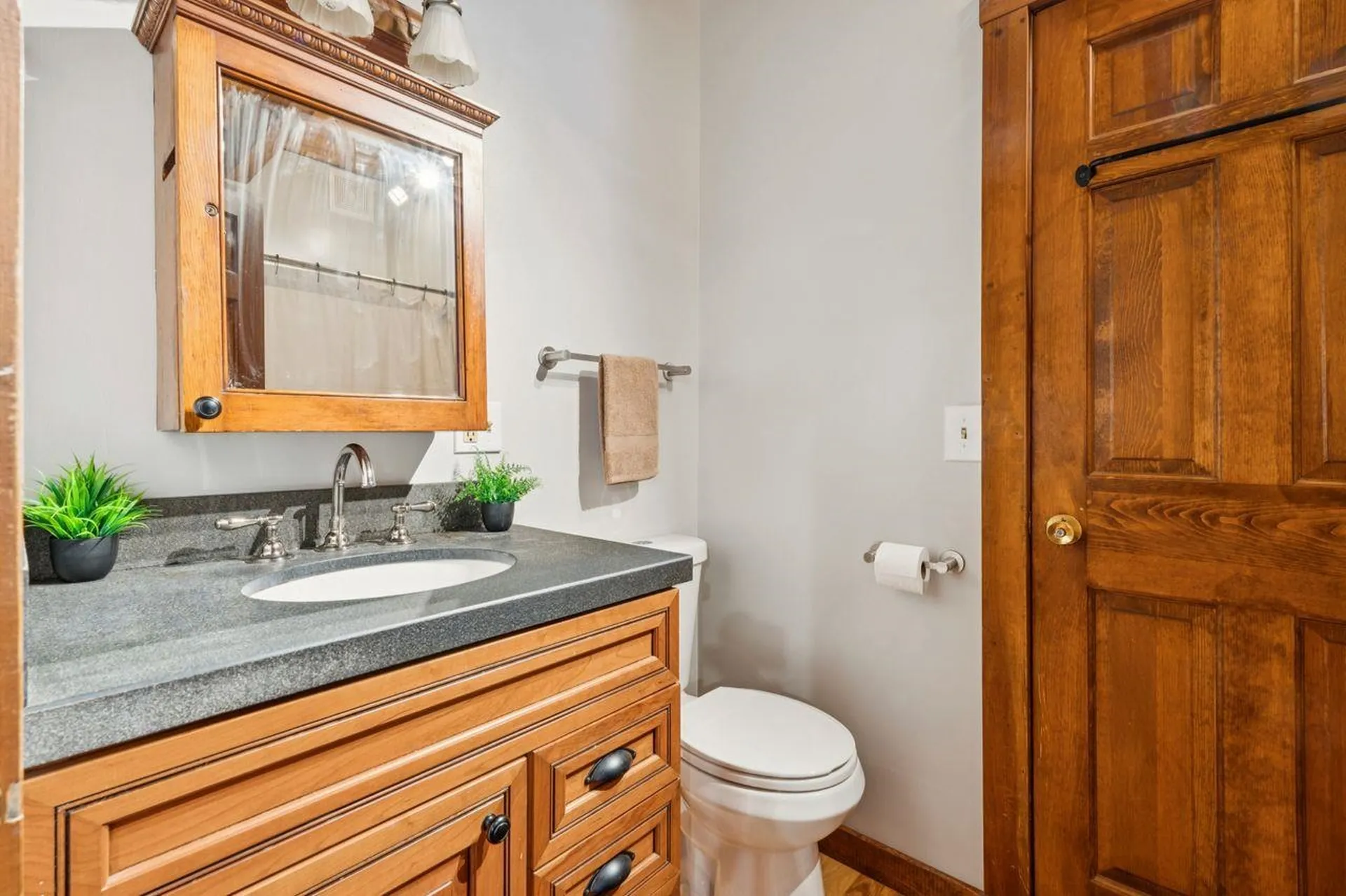 225 Pine River Path Effingham NH 03882