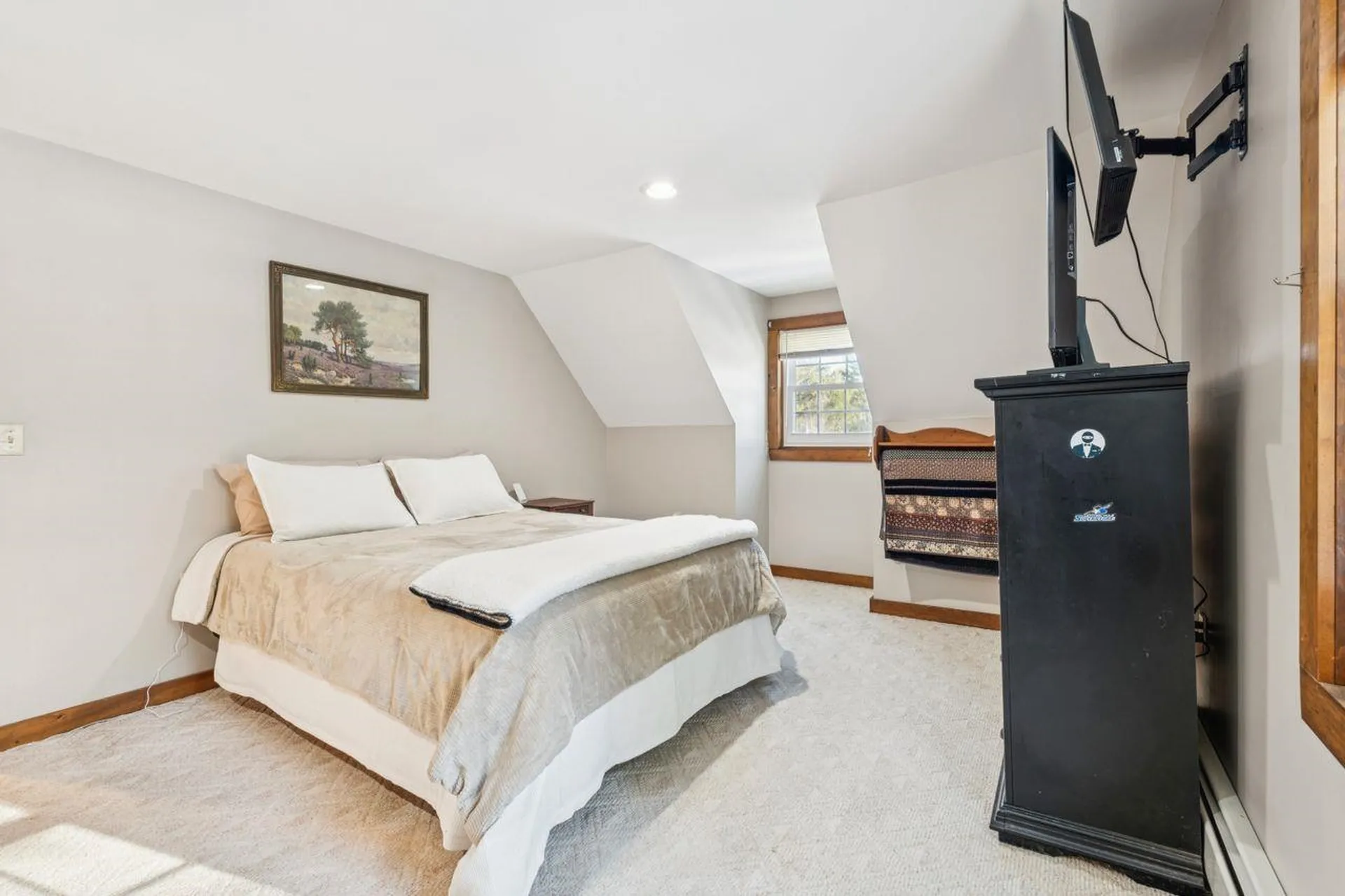 225 Pine River Path Effingham NH 03882