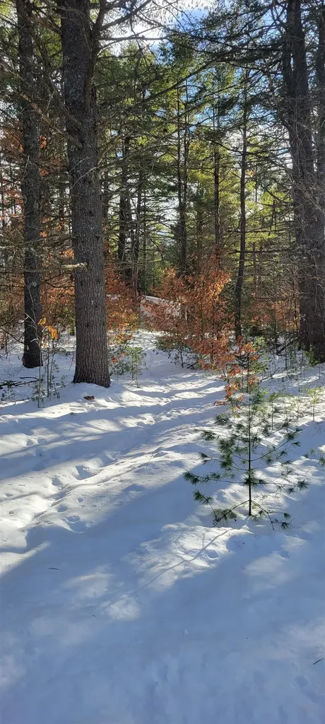 29 Milford Avenue Freedom NH 03836