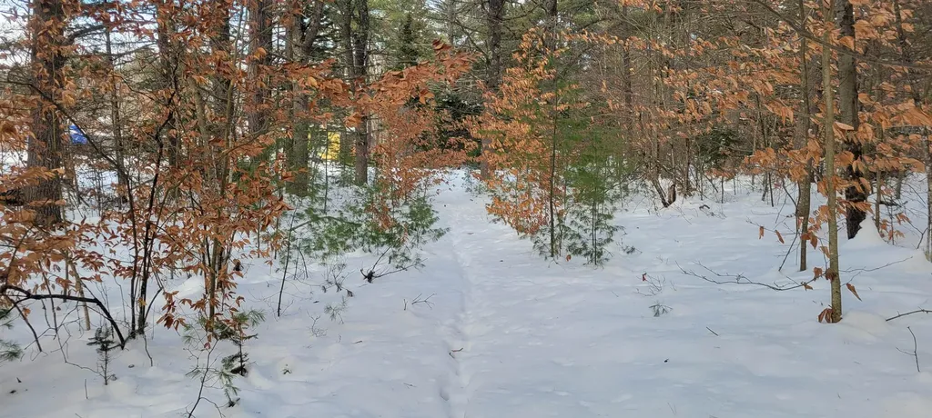 29 Milford Avenue Freedom NH 03836