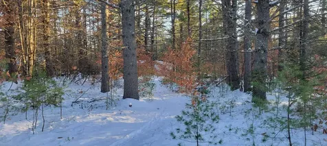 29 Milford Avenue Freedom NH 03836