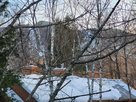 22 Brookside Road Lincoln NH 03251