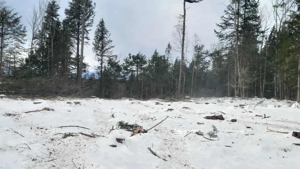 91-95 Elm Street Ossipee NH 03864