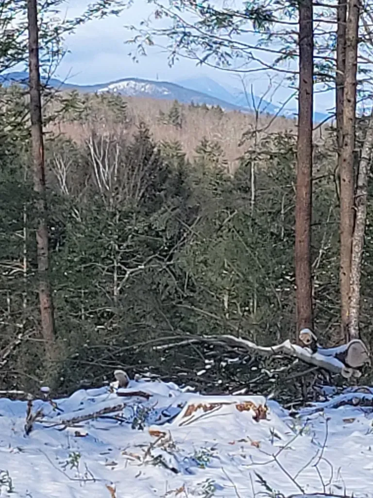 91-95 Elm Street Ossipee NH 03864