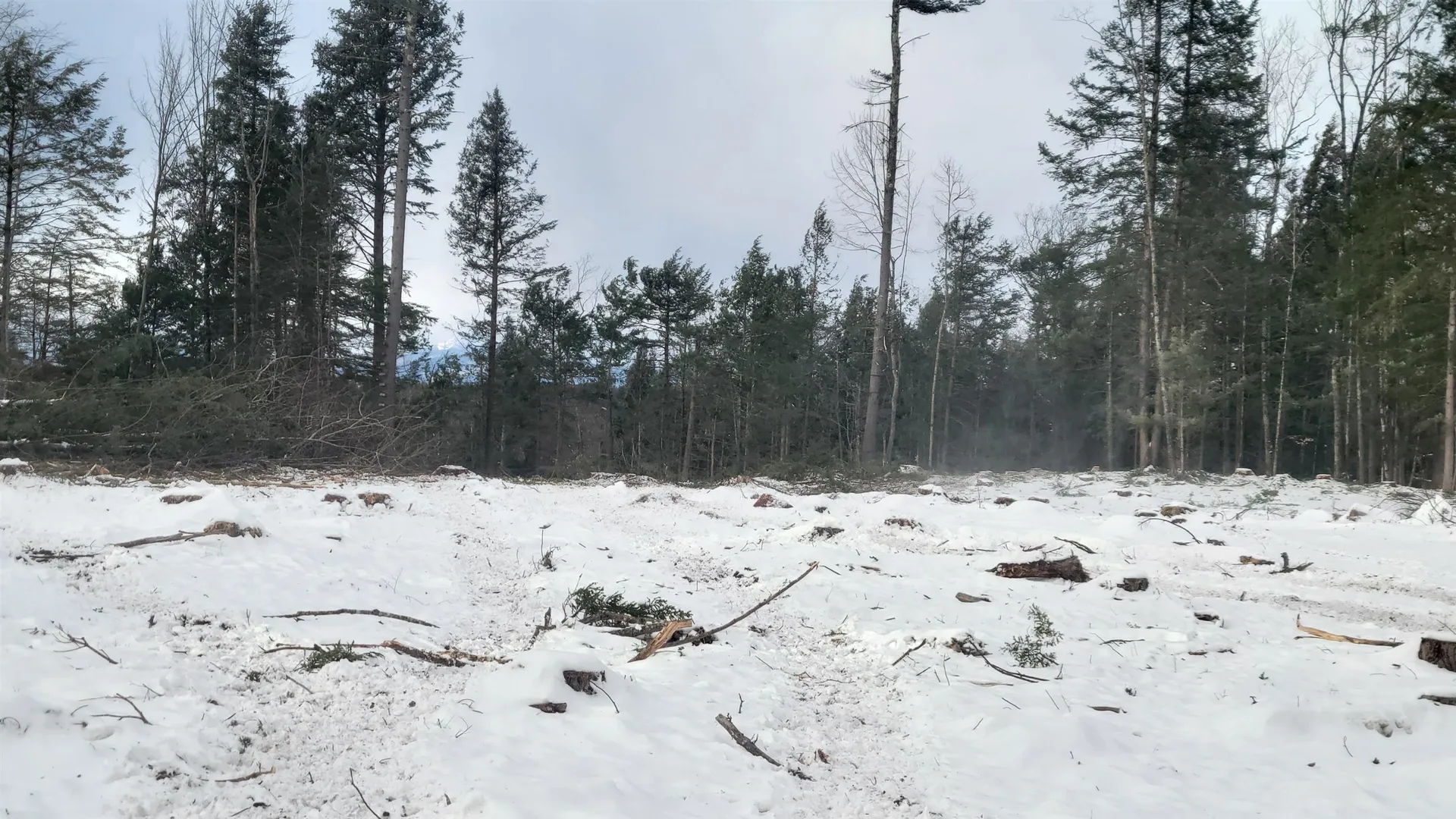 91-95 Elm Street Ossipee NH 03864