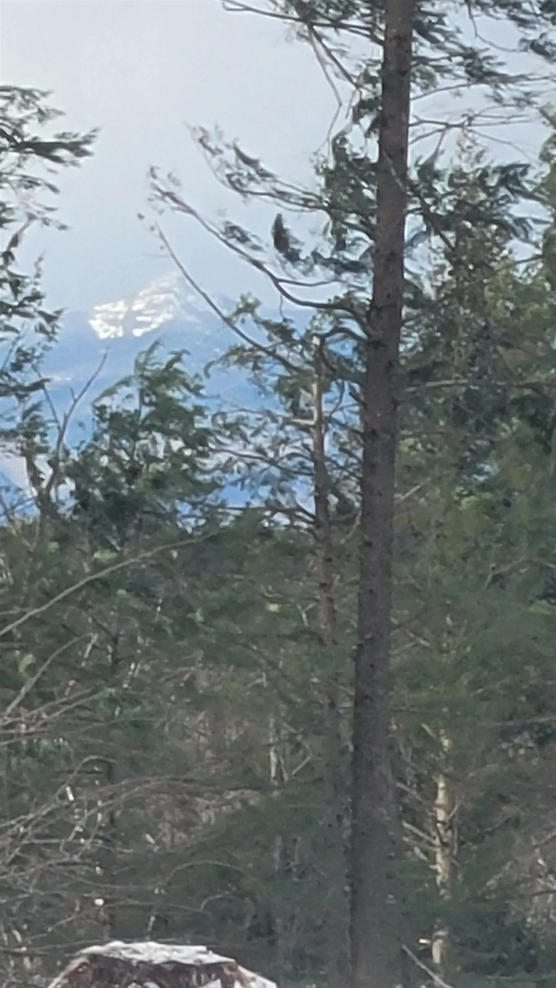 91-95 Elm Street Ossipee NH 03864