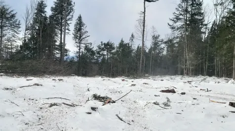 91-95 Elm Street Ossipee NH 03864