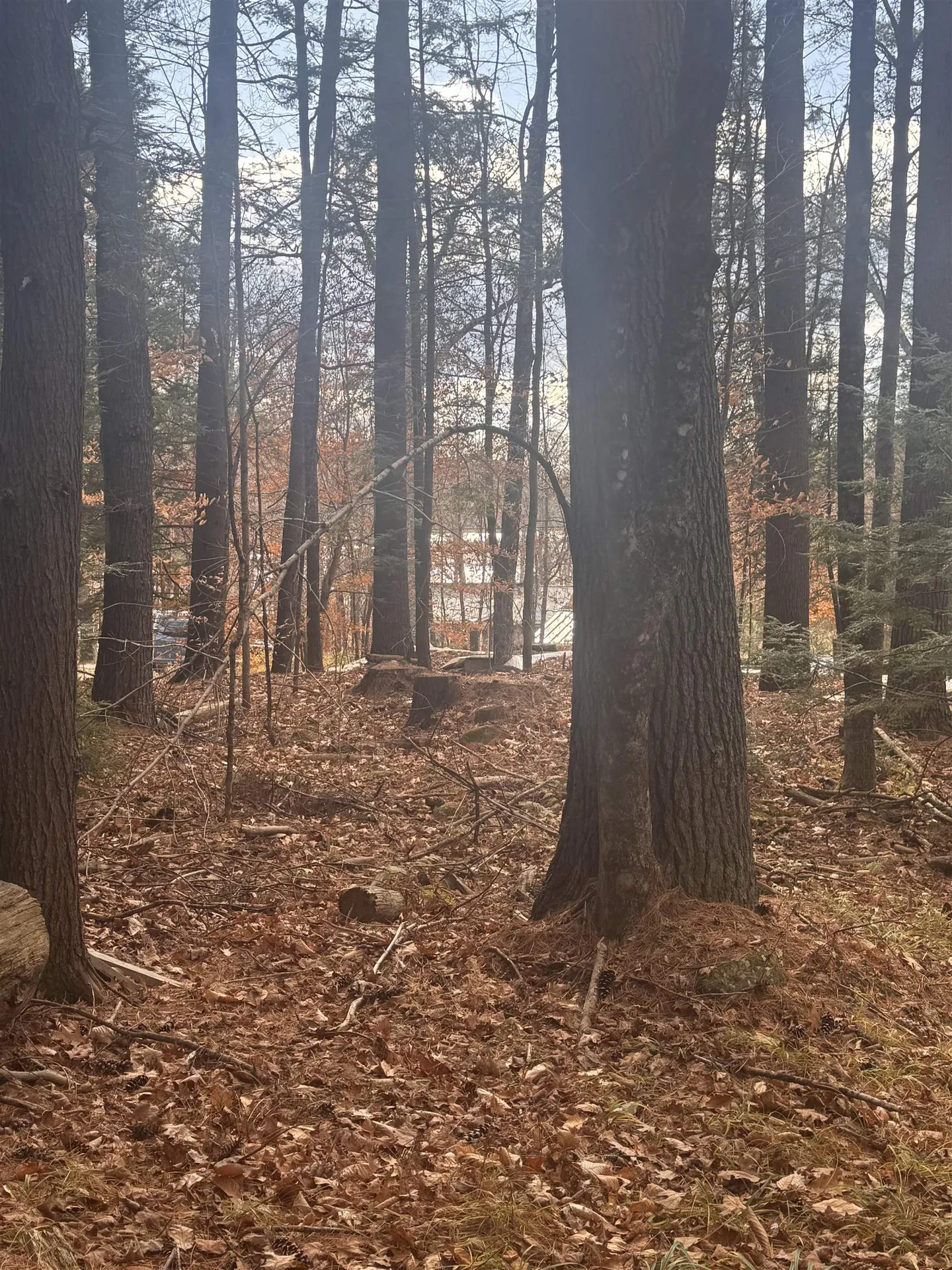 00 Newbury Road Sutton NH 03260