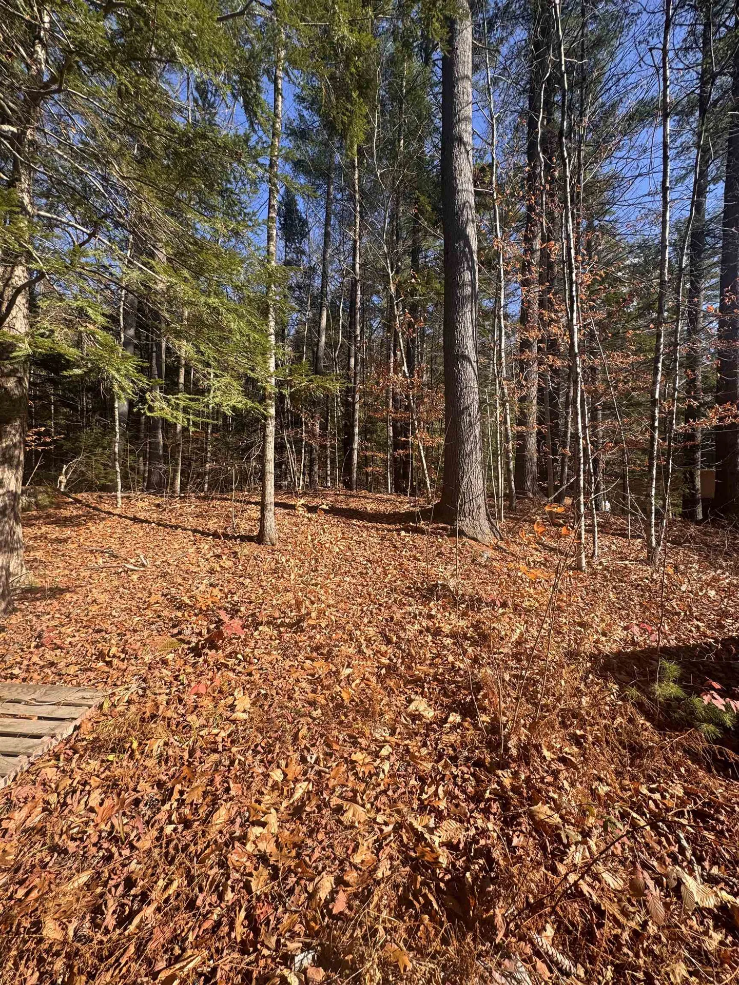 00 Newbury Road Sutton NH 03260