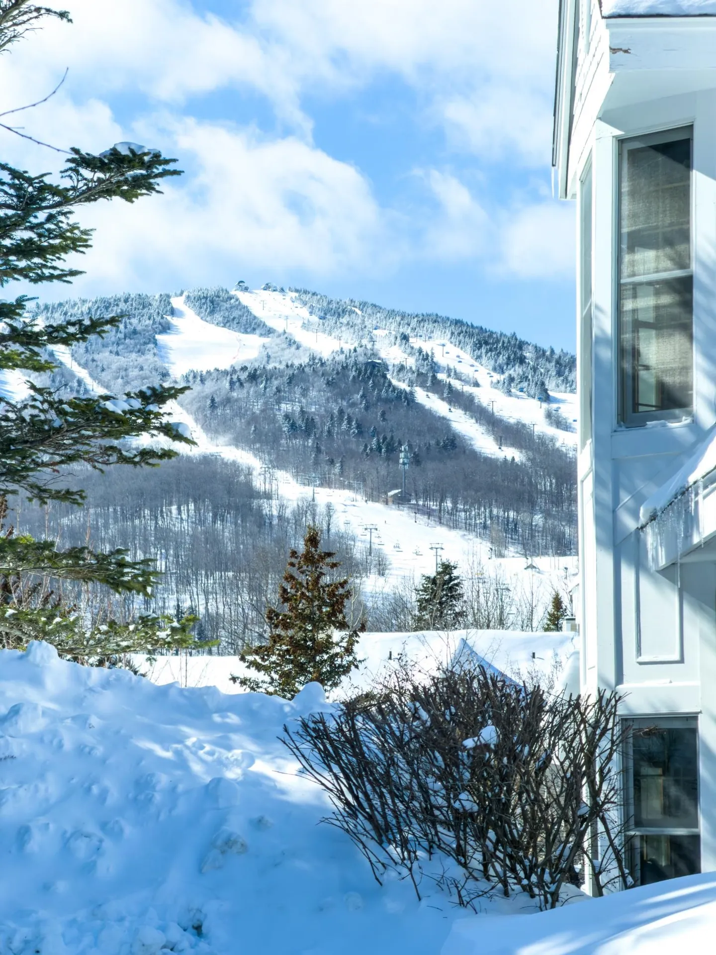 9A Windham Way Dover VT 05356