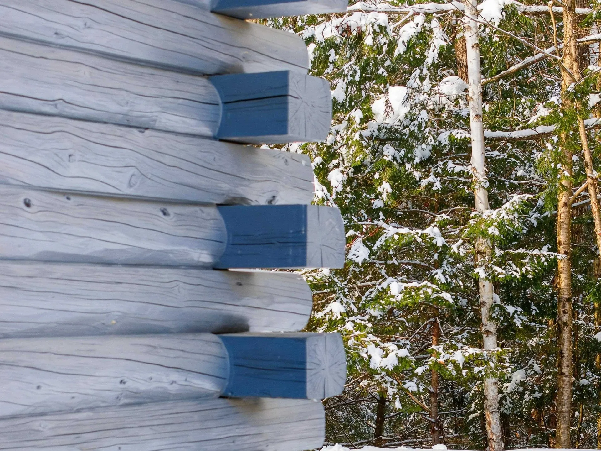 42 Chickadee Lane Littleton NH 03561