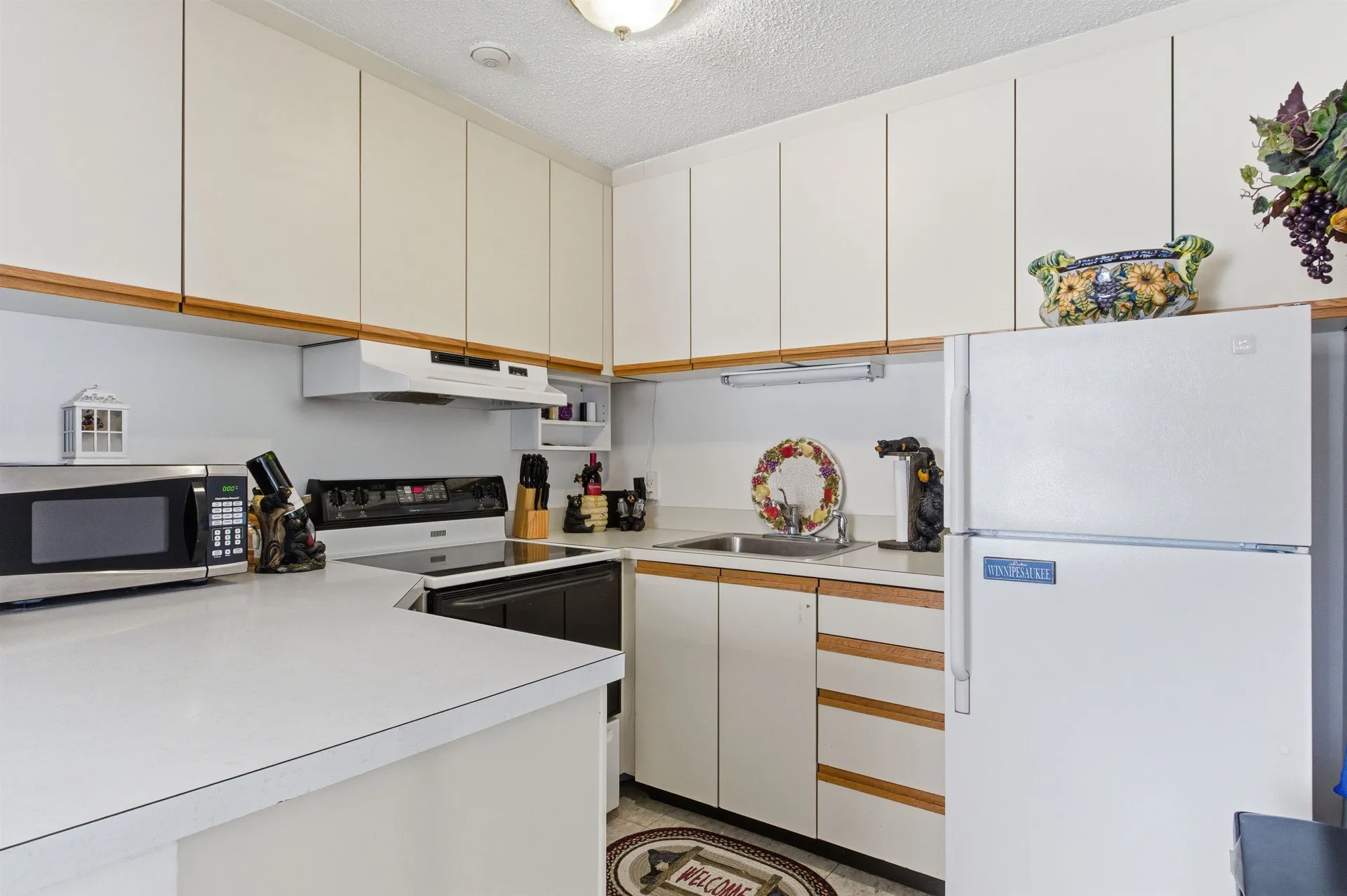 75 Treetop Circle Laconia NH 03246