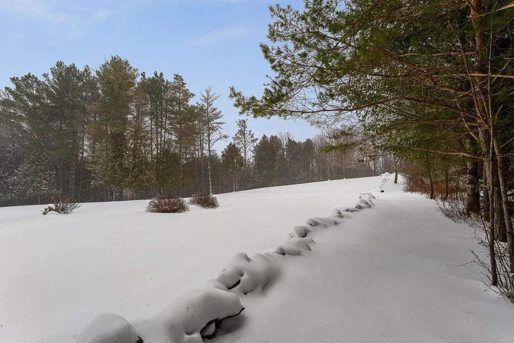 102 Bluebird Road Williamstown VT 05679