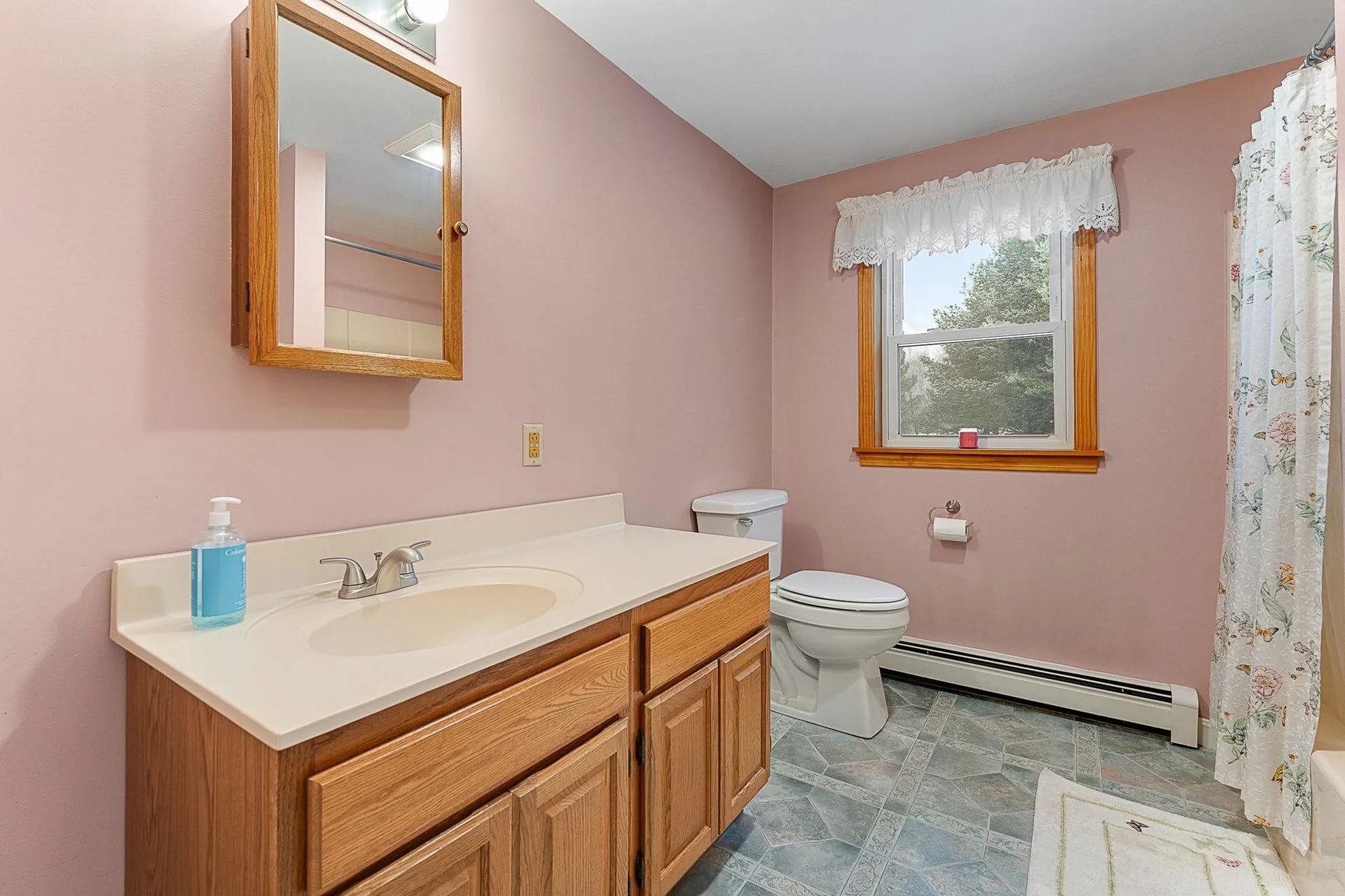 102 Bluebird Road Williamstown VT 05679