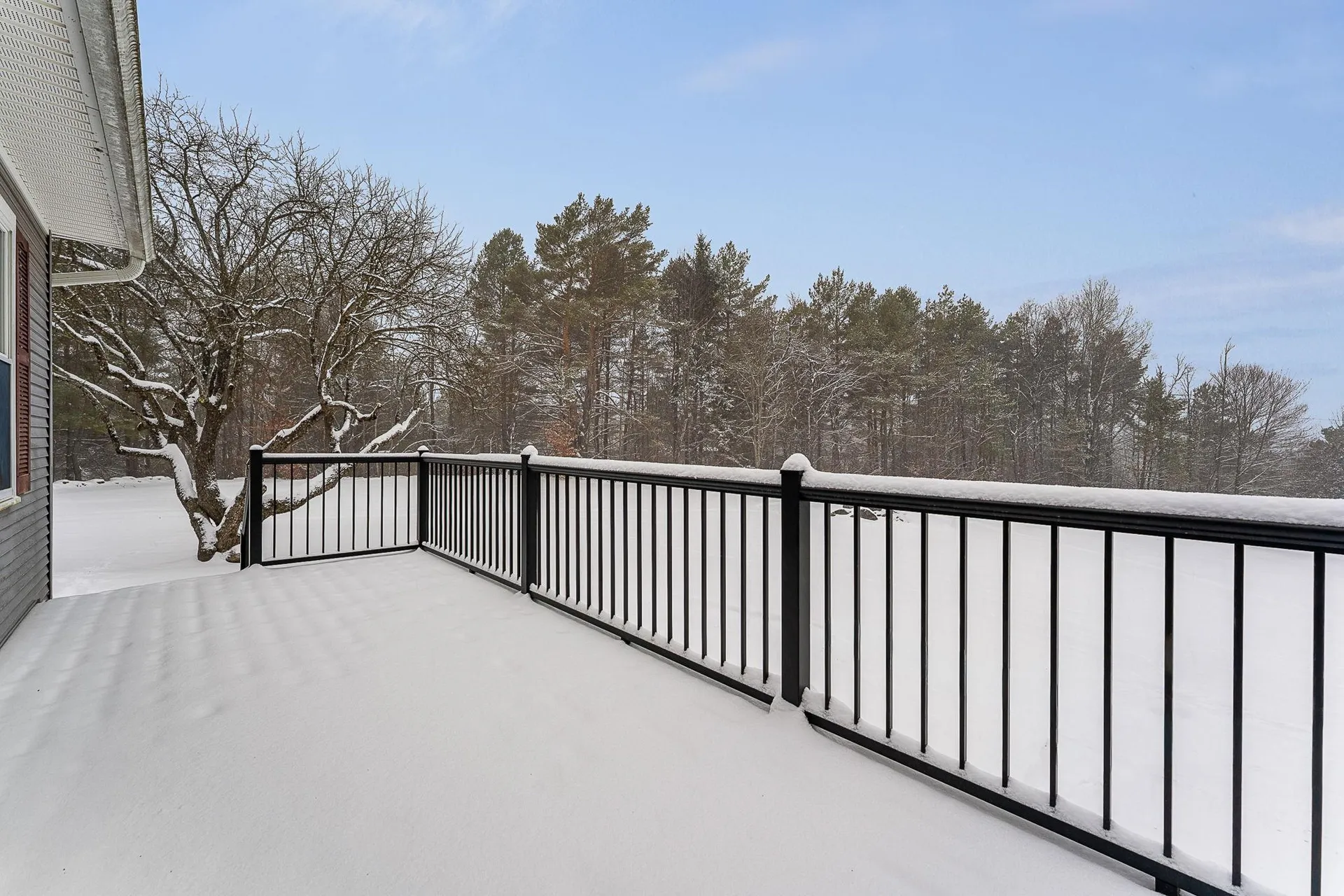 102 Bluebird Road Williamstown VT 05679