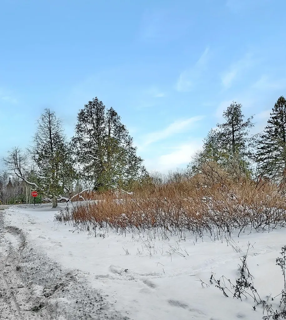 000 Mountain View Road Whitefield NH 03598