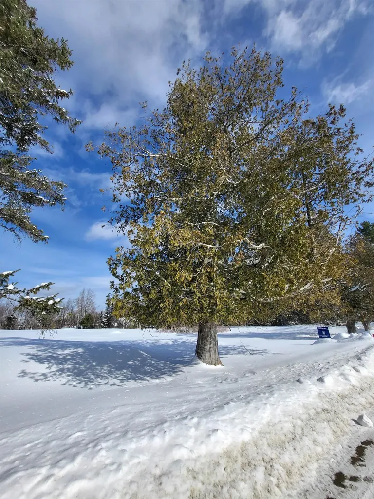 000 Mountain View Road Whitefield NH 03598