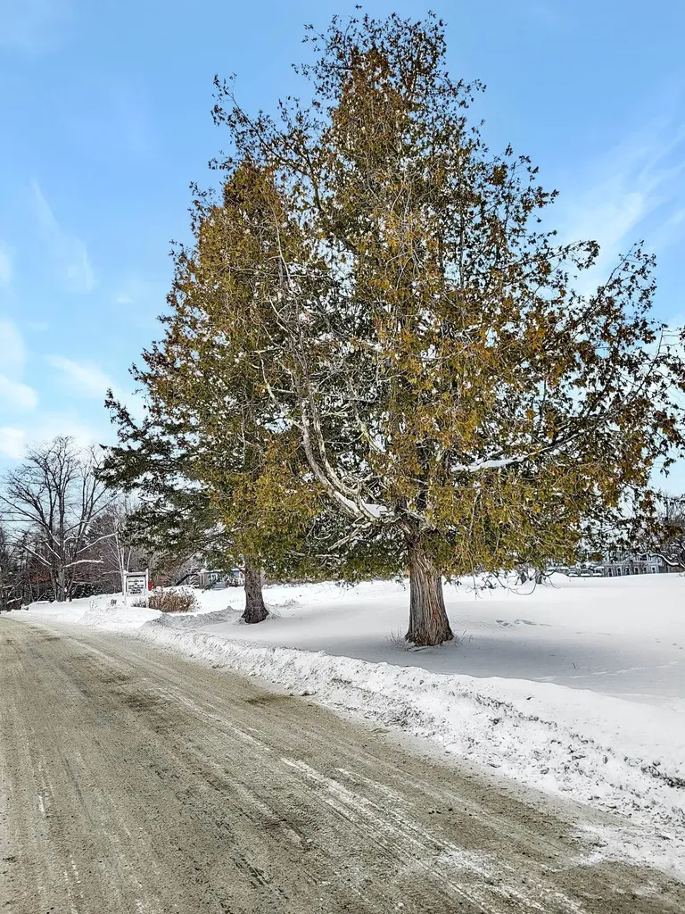 000 Mountain View Road Whitefield NH 03598