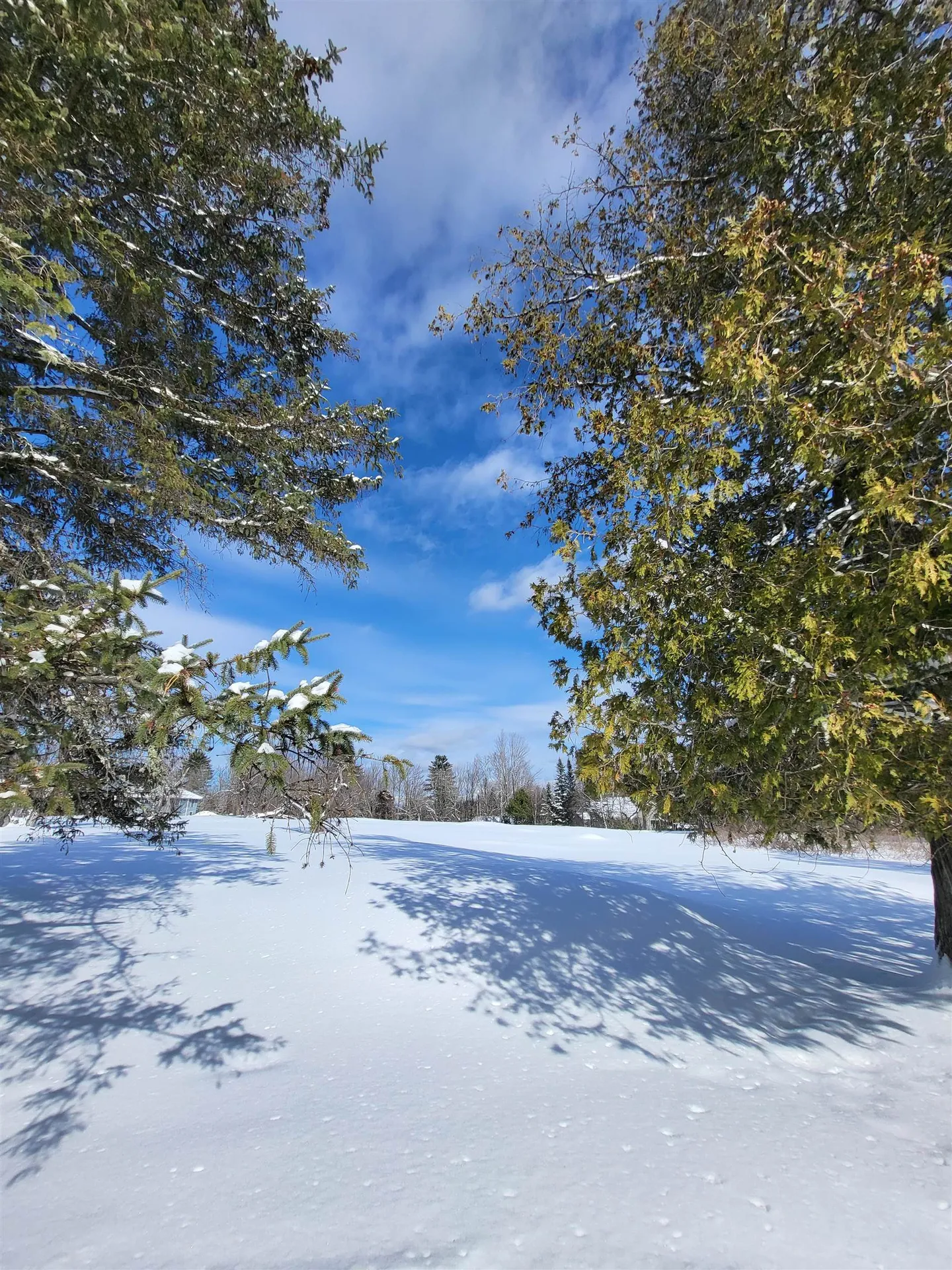 000 Mountain View Road Whitefield NH 03598