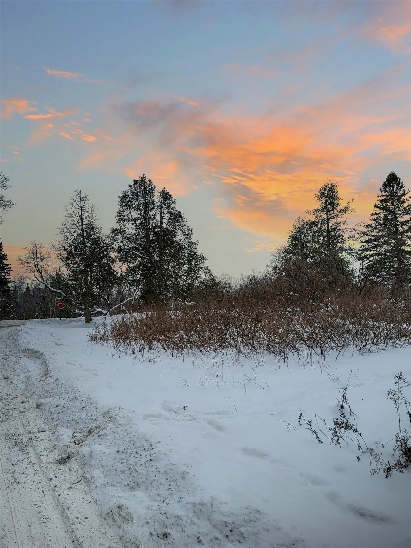 000 Mountain View Road Whitefield NH 03598