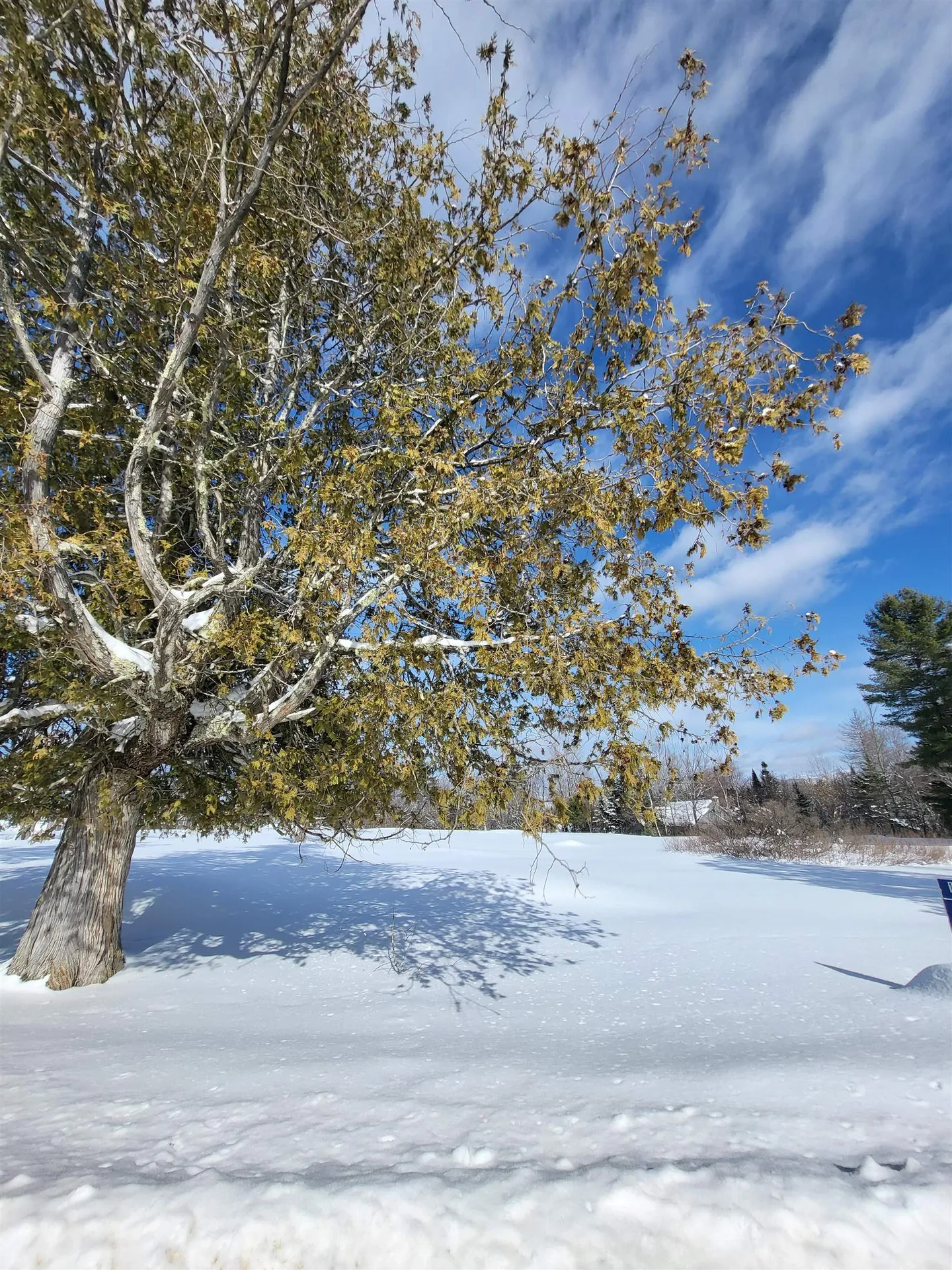 000 Mountain View Road Whitefield NH 03598