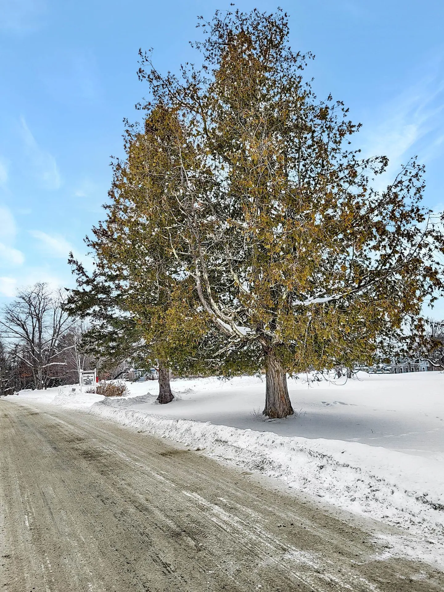 000 Mountain View Road Whitefield NH 03598