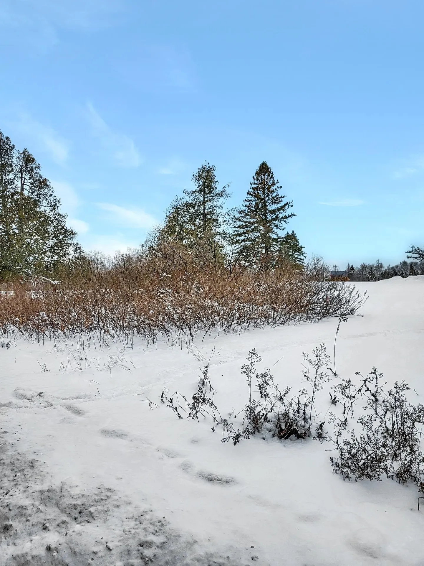 000 Mountain View Road Whitefield NH 03598