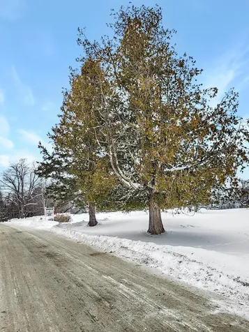 000 Mountain View Road Whitefield NH 03598