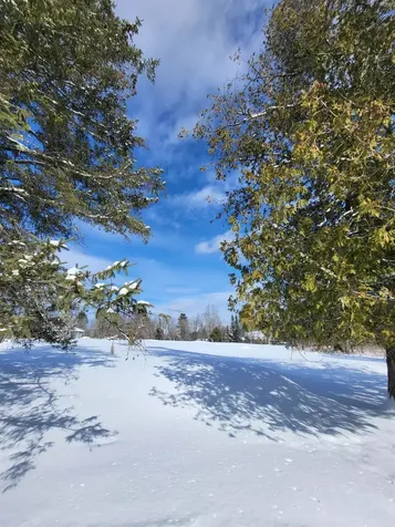 000 Mountain View Road Whitefield NH 03598