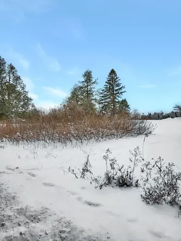 000 Mountain View Road Whitefield NH 03598