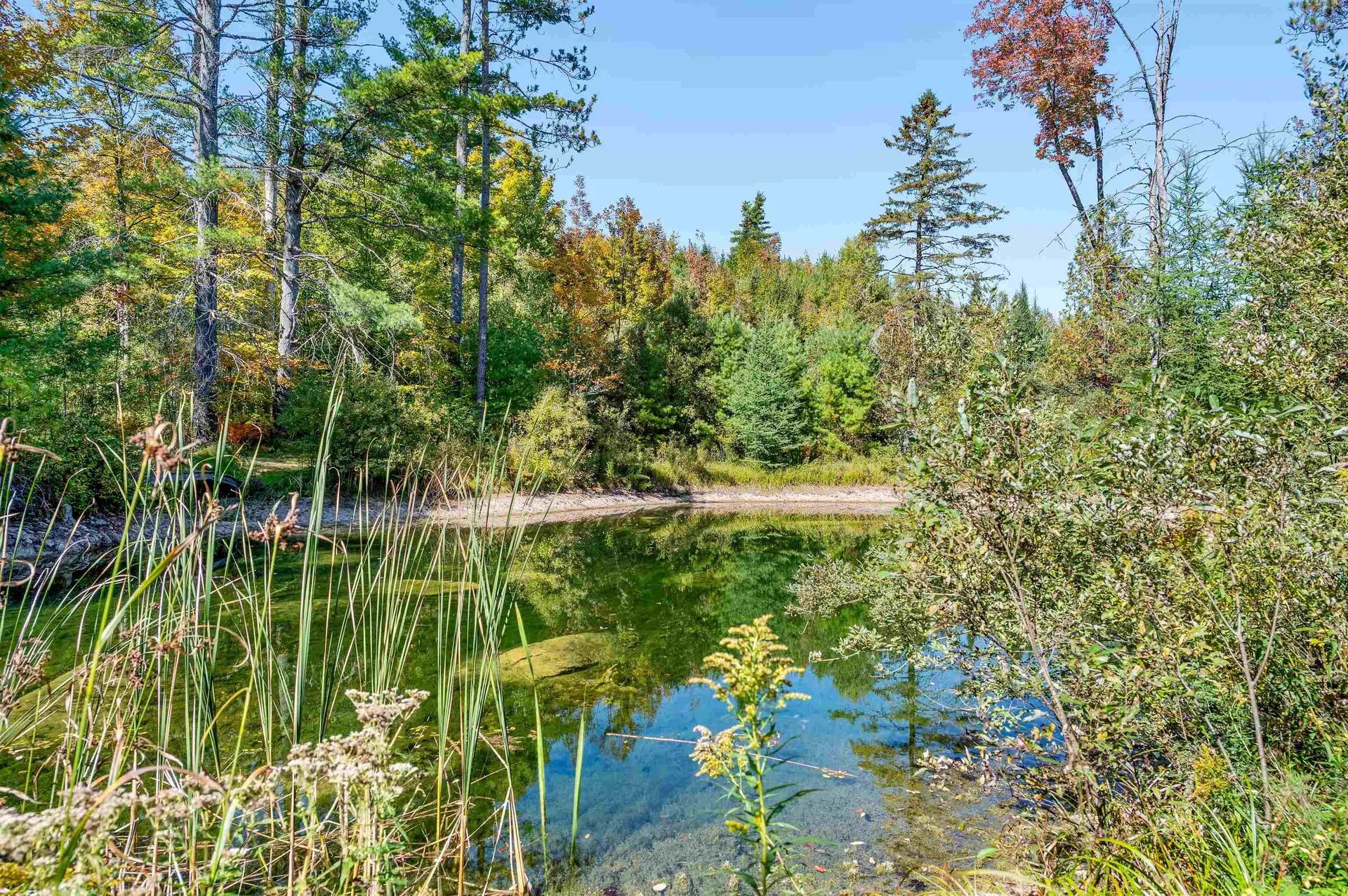 3821 Cabot Road Cabot VT 05647