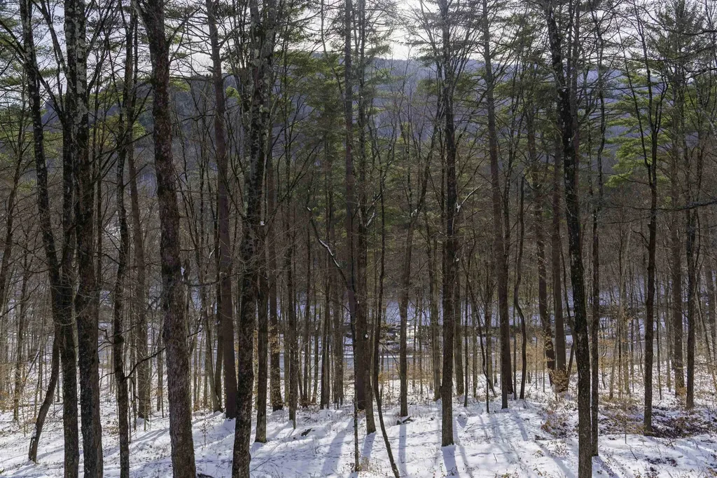 354 Grout Road Weathersfield VT 05151