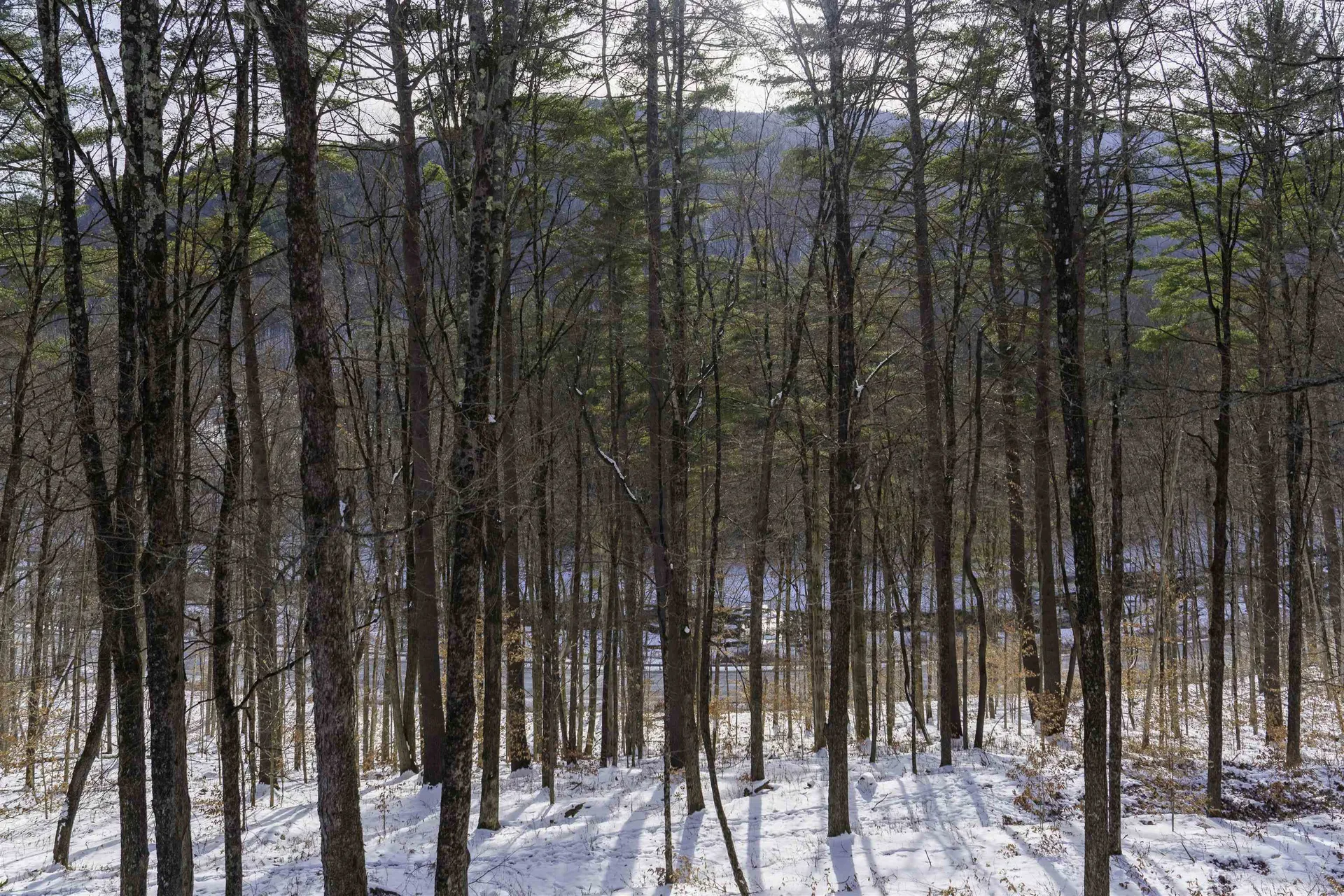 354 Grout Road Weathersfield VT 05151