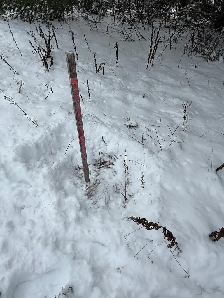 On Us Route 2 W Danville VT 05828